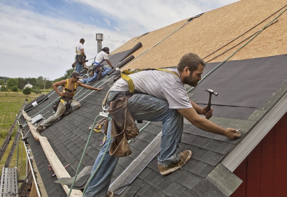 Local roofing crew installing asphalt shingles on a residential roof in fall-protection harnesses, with the foreground roofer hammering a nail into a fresh course of shingles and two crew members working the upper section near the ridge